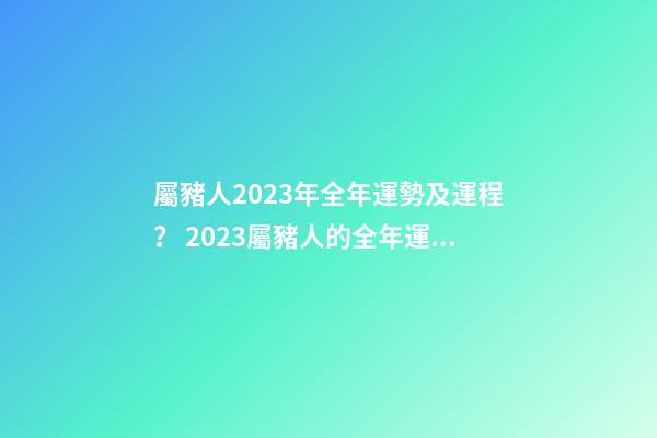 屬豬人2023年全年運勢及運程？ 2023屬豬人的全年運勢如何-第1張-觀點-玄機派